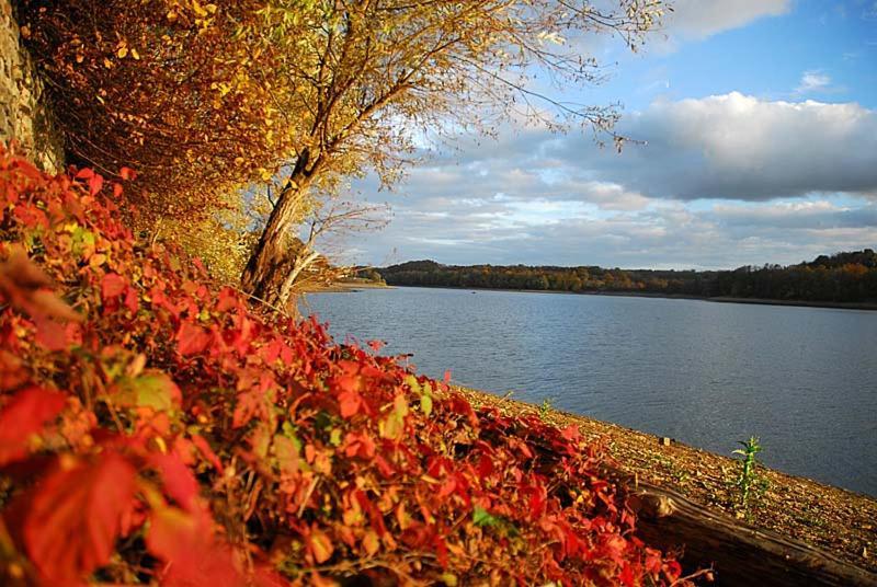 Maison Bord De Lac De Charmes 巴涅斯 外观 照片